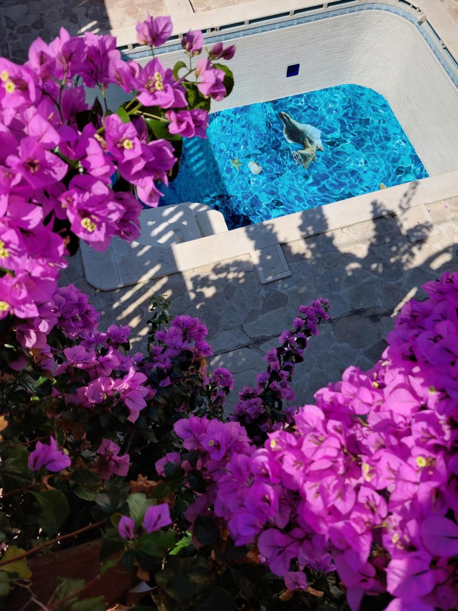 Studios Villa Romantica Zadar Exterior foto